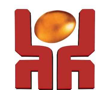 河南鼎越企業(yè)管理咨詢 專業(yè)商務(wù)咨詢，助力企業(yè)卓越發(fā)展