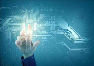 吳中區口碑佳、價格優的系統開發與互聯網信息技術服務