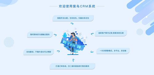 電商行業CRM云客服管理系統選哪家？紫鳥云客服——互聯網信息技術服務的卓越選擇
